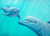 dolphriends
